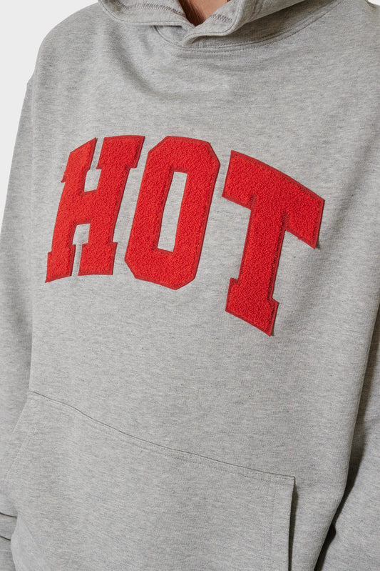 Худі CARNE UNIVERSITY сірий