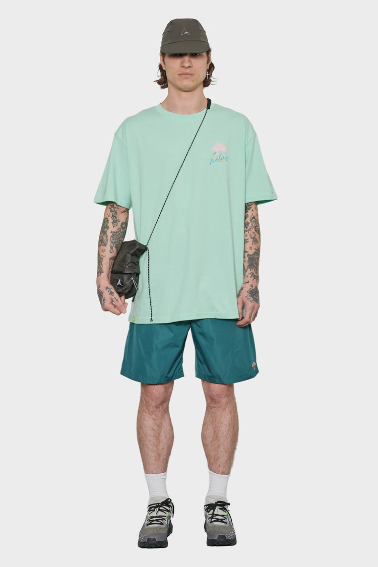 men#@Футболка FLAMINGO зелена