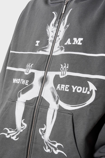 Худі WHO THE DEVIL? темно-сірий, купити онлайн в магазині.