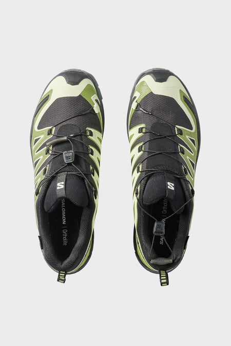 Кросівки XA PRO 3D GTX V9 чорно-зелені від SALOMON купити онлайн у магазині NEWBORN K