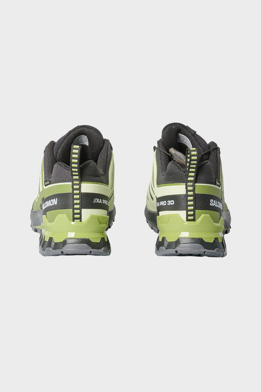 Кросівки XA PRO 3D GTX V9 чорно-зелені від SALOMON купити онлайн у магазині NEWBORN K