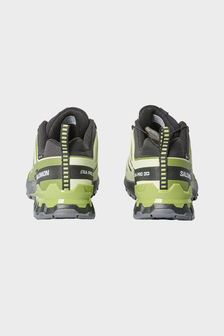 Кросівки XA PRO 3D GTX V9 чорно-зелені від SALOMON купити онлайн у магазині NEWBORN K