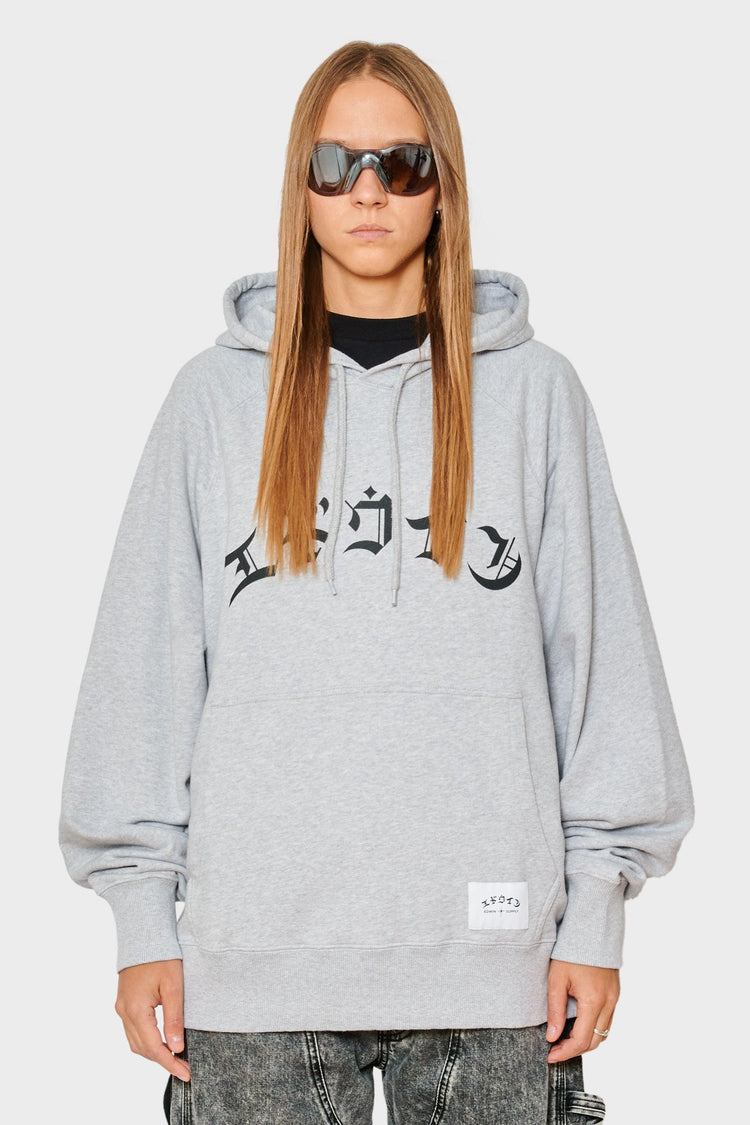 women#@Худі HIGH LIFE LOW LEVELS сірий, купити онлайн в магазині.