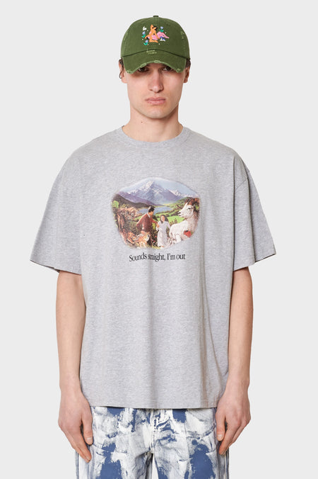 men#@Футболка SOUNDS STRAIGHT, I'M OUT сіра