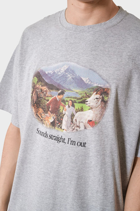 Футболка SOUNDS STRAIGHT, I'M OUT сіра