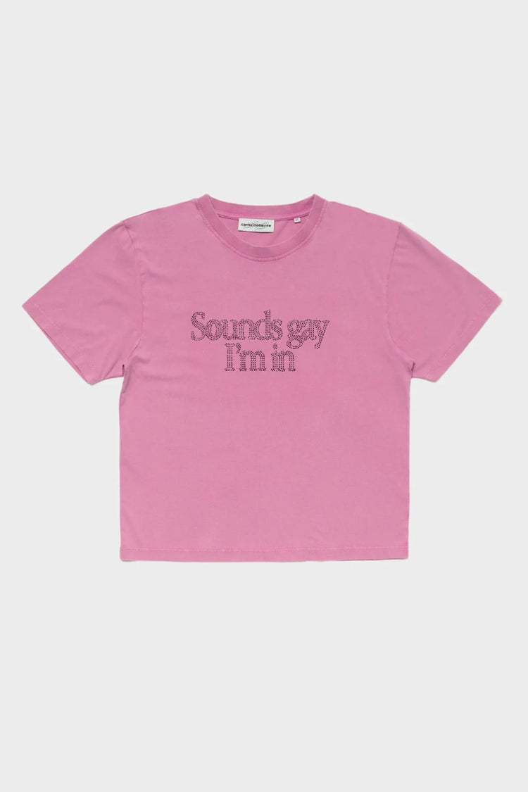 Футболка SOUNDS GAY I'M IN BABY! рожева