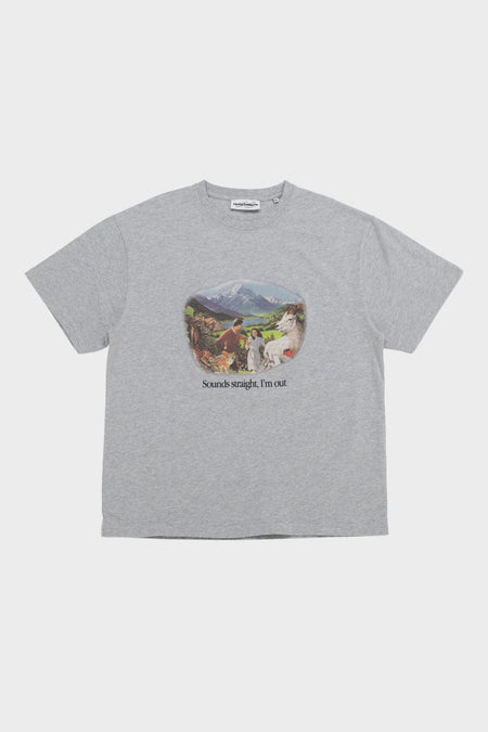 Футболка SOUNDS STRAIGHT, I'M OUT сіра