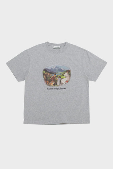 Футболка SOUNDS STRAIGHT, I'M OUT сіра Фото 1