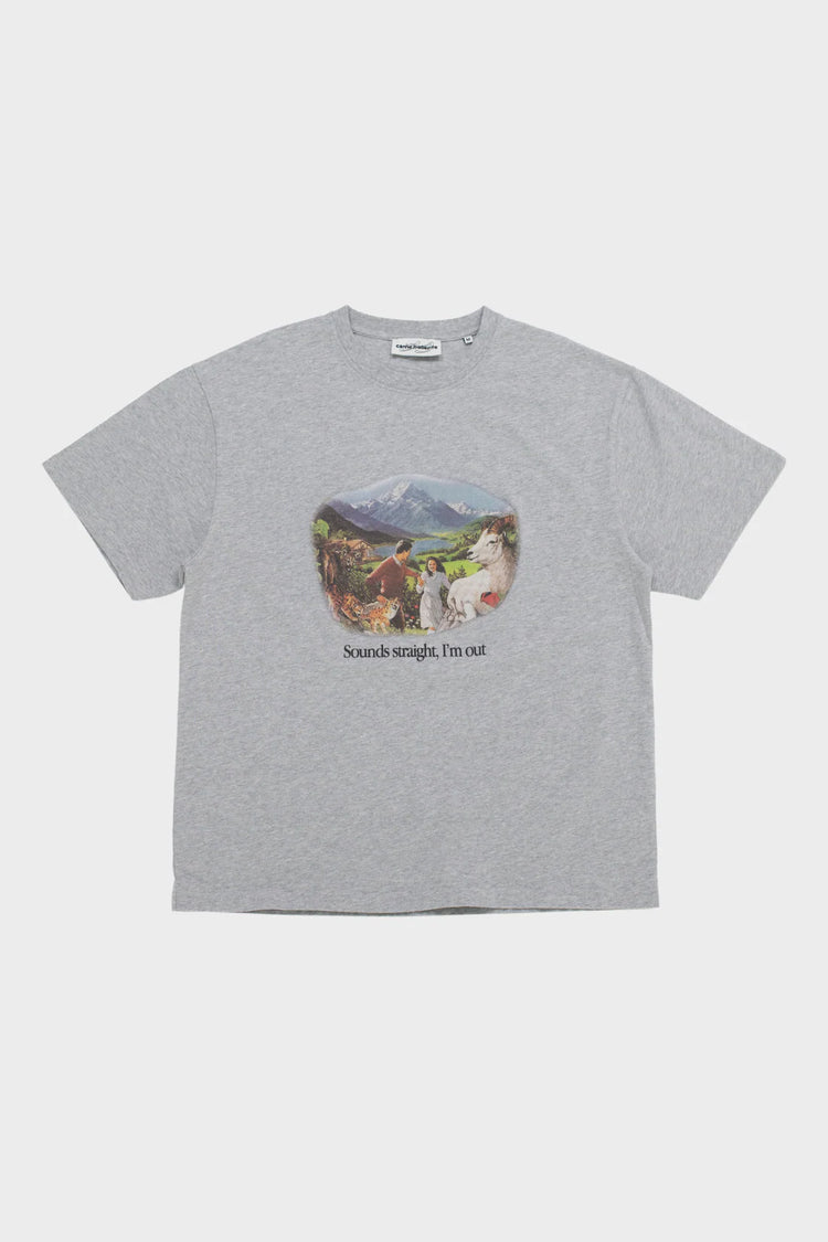 Футболка SOUNDS STRAIGHT, I'M OUT сіра