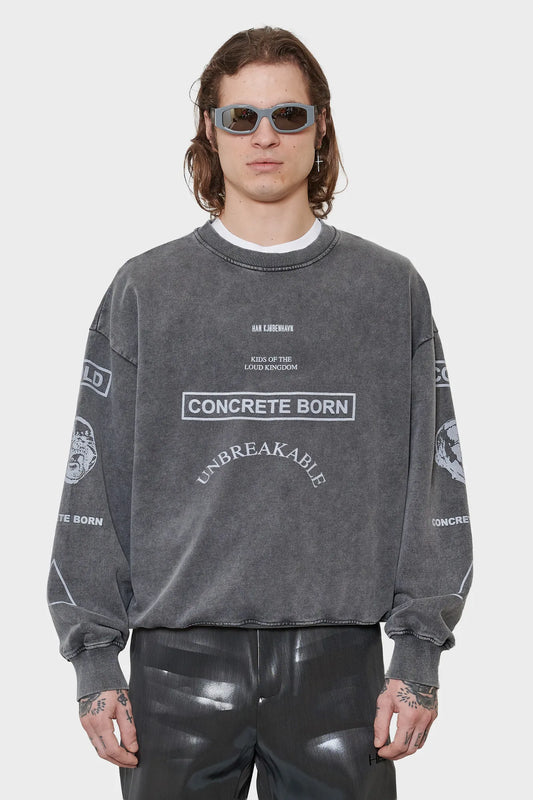 men#@Світшот GRAPHIC PRINTED CREWNECK темно-сірий